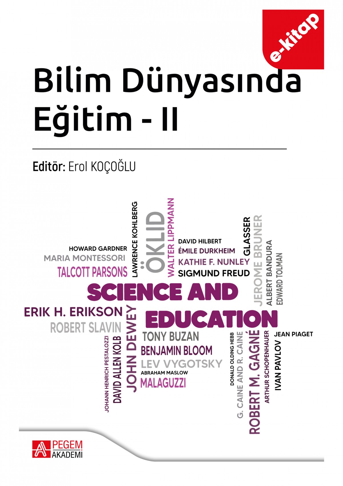 Bilim Dünyasında Eğitim 2(e-kitap)