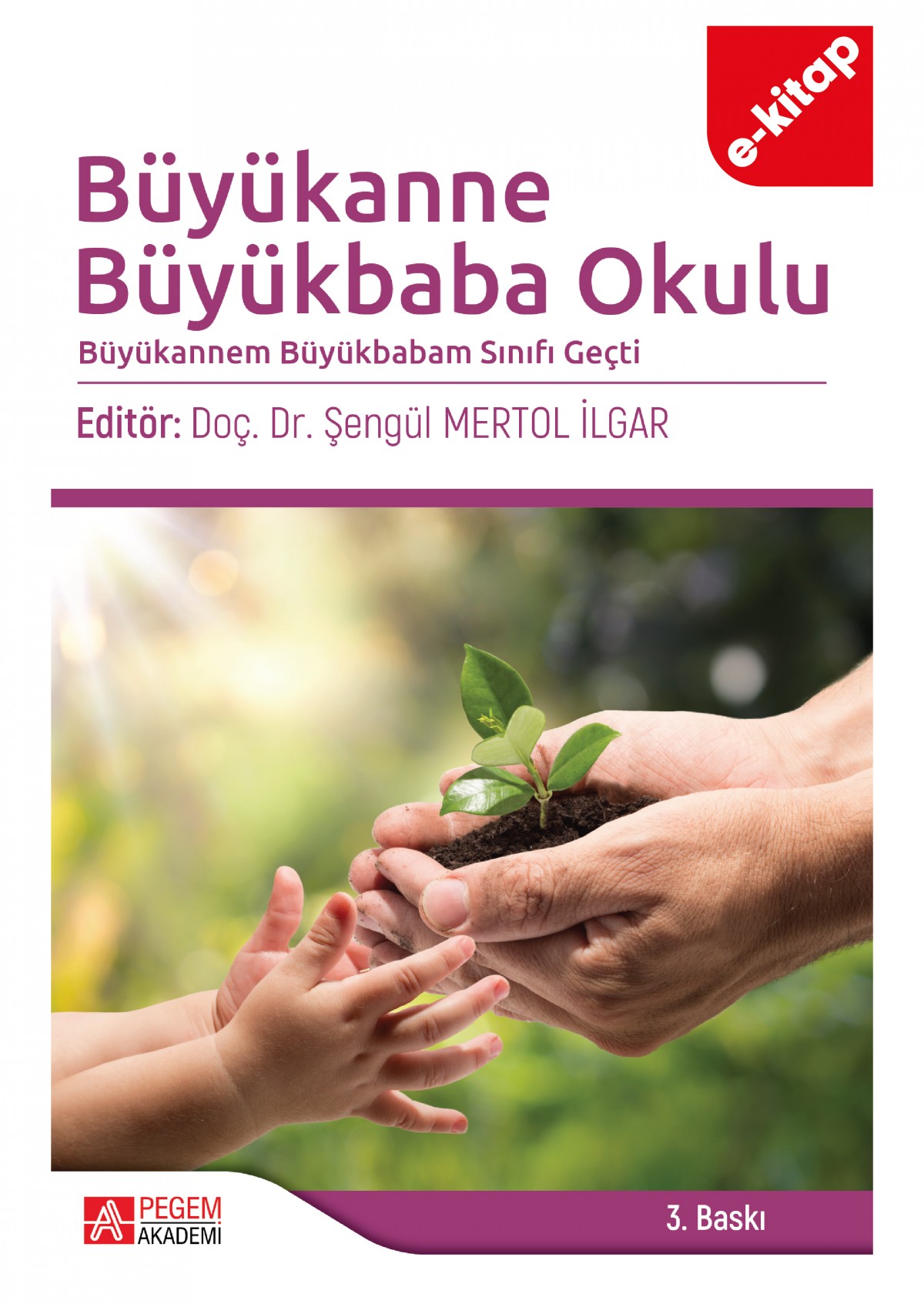 Büyükanne Büyükbaba Okulu(e-kitap)