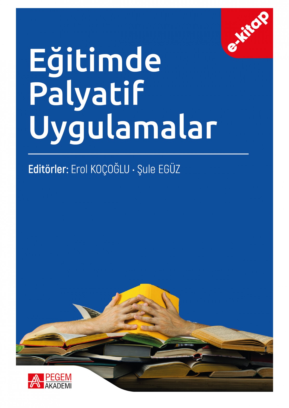 Eğitimde Palyatif Uygulamalar (e-kitap)