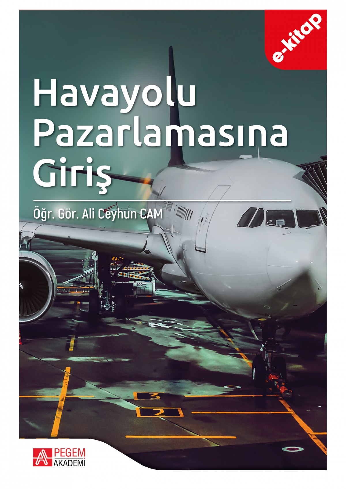 Havayolu Pazarlamasına Giriş (e-kitap)