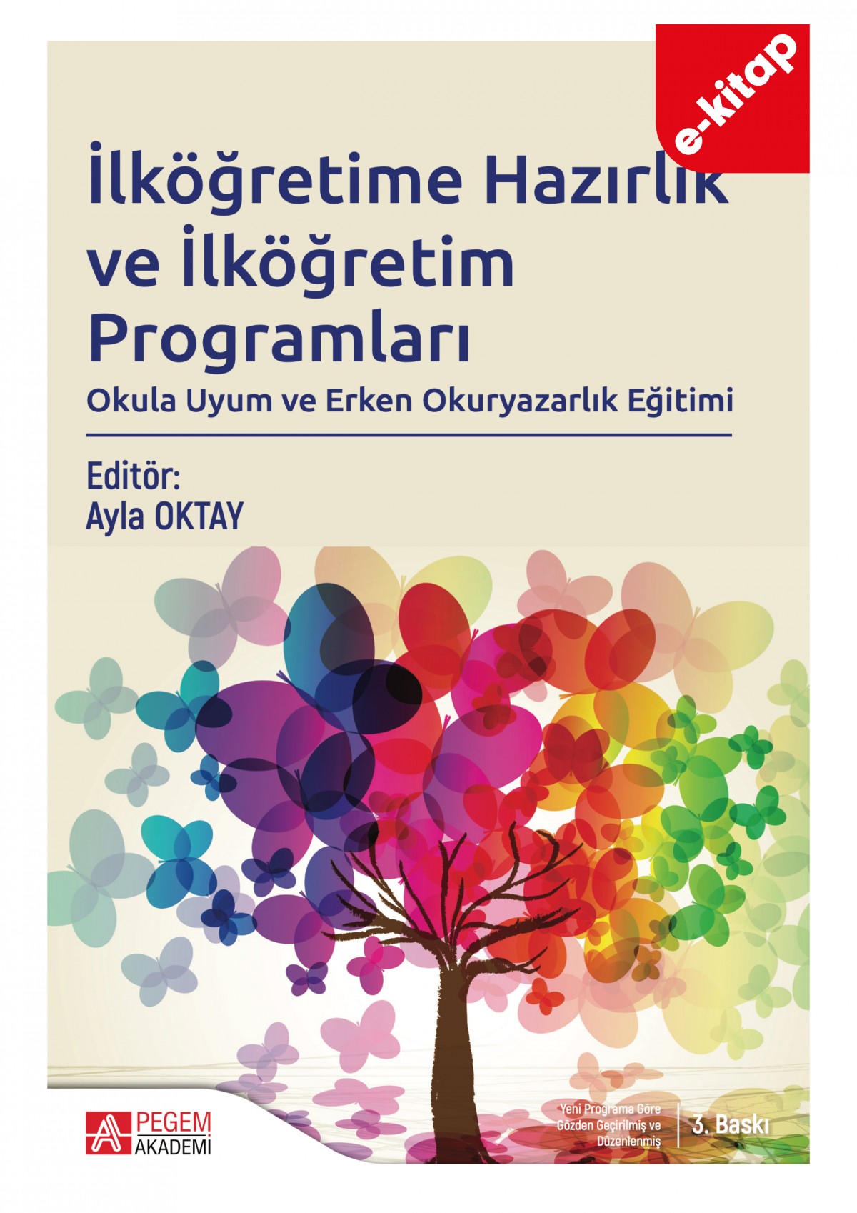 İlköğretime Hazırlık ve İlköğretim Programları (e-kitap)