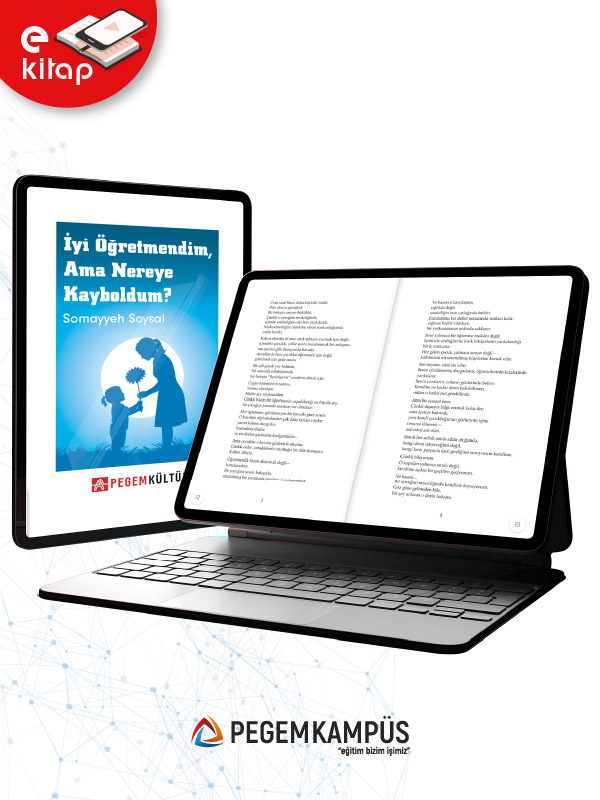 İyi Öğretmendim Ama Nereye Kayboldum (e-kitap)