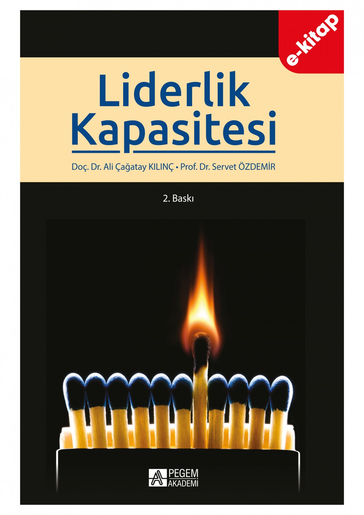 Liderlik Kapasitesi(e-kitap)