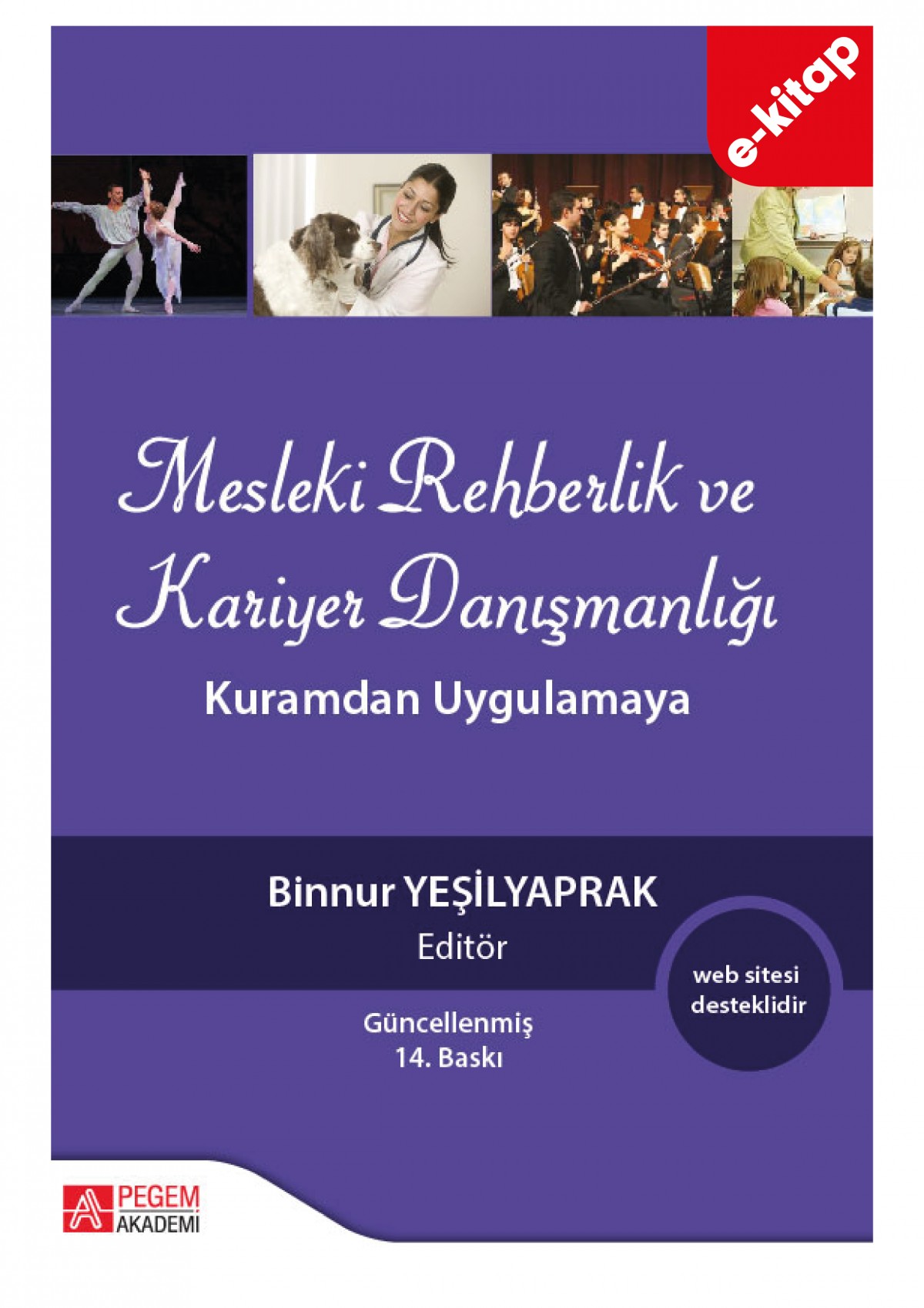 Mesleki Rehberlik ve Kariyer Danışmanlığı: Kuramdan Uygulamaya (e-kitap)
