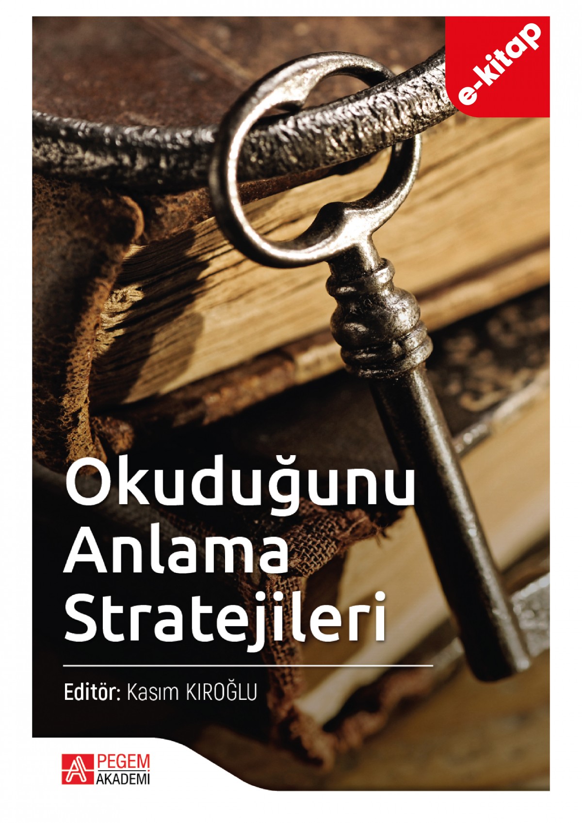Okuduğunu Anlama Stratejileri (e-kitap)