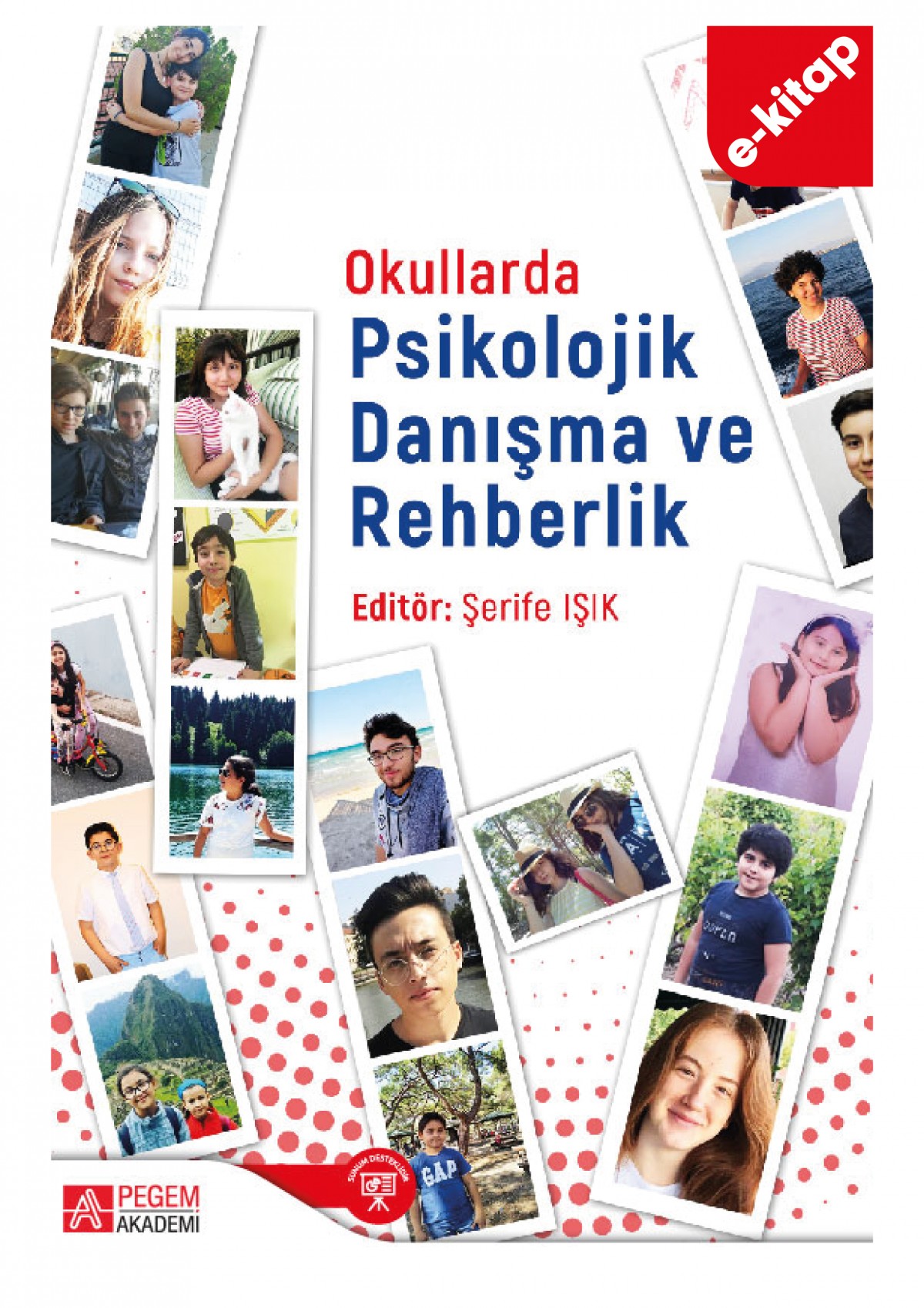 Okullarda Psikolojik Danışma ve Rehberlik (e-kitap)