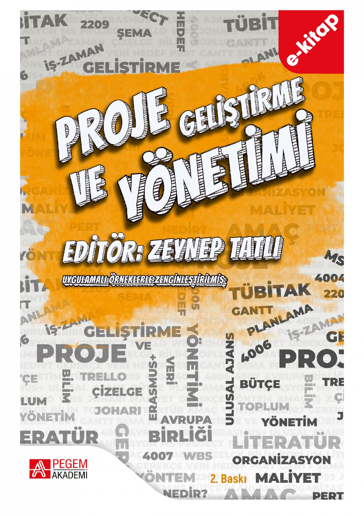 Proje Geliştirme ve Yönetimi (e-kitap)