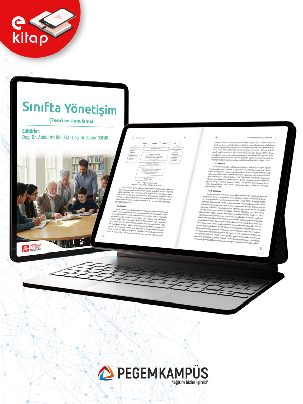 Sınıfta Yönetişim Teori ve Uygulama (e-kitap)