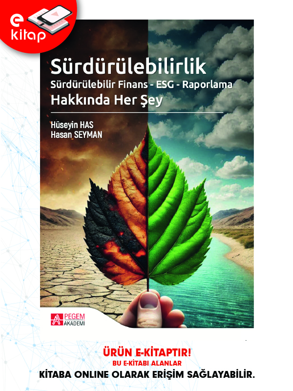 Sürdürülebilirlik Sürdürülebilir Finans - ESG - Raporlama Hakkında Her Şey (e-kitap)