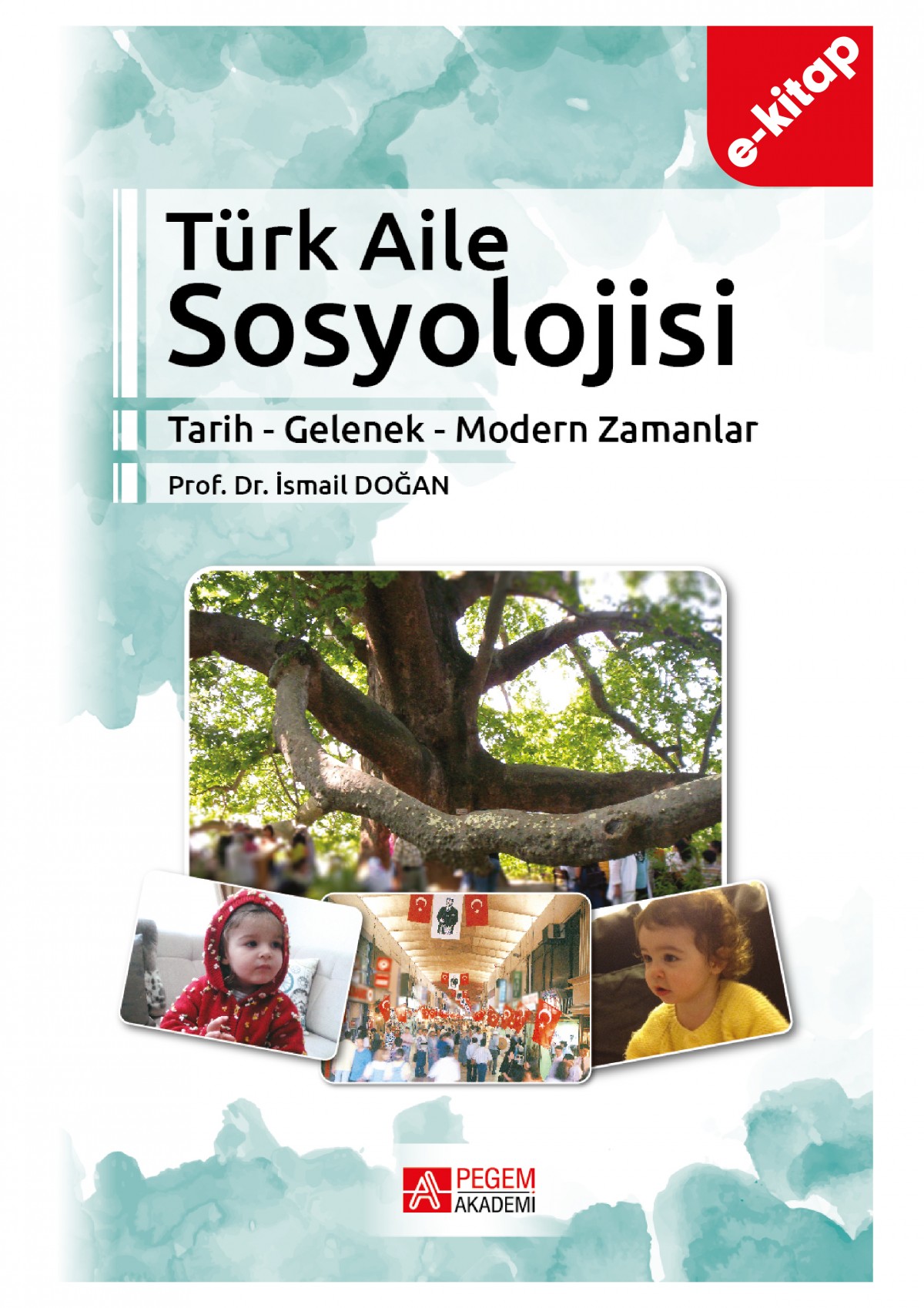 Türk Aile Sosyolojisi(e-kitap)