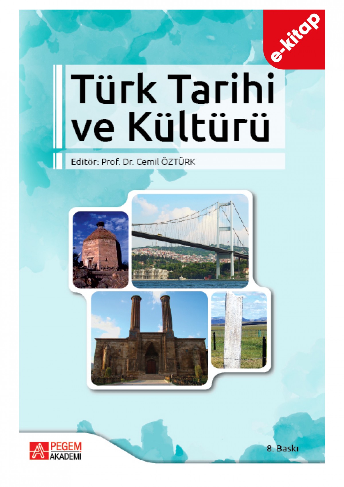 Türk Tarihi ve Kültürü (e-kitap)