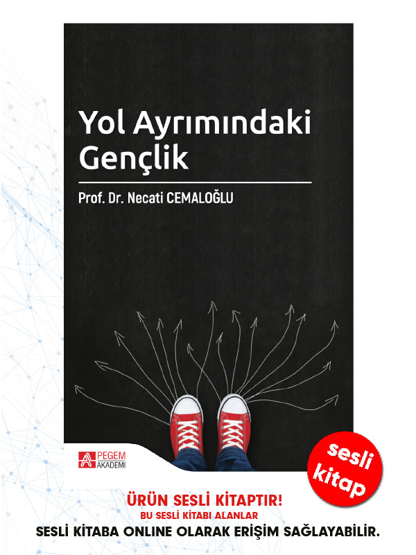 Yol Ayrımındaki Gençlik (sesli kitap)