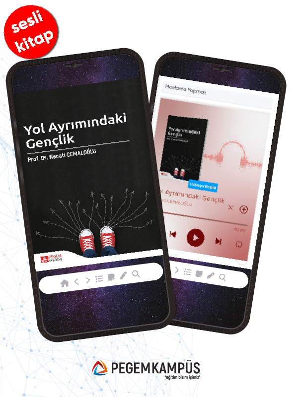 Yol Ayrımındaki Gençlik (sesli kitap)