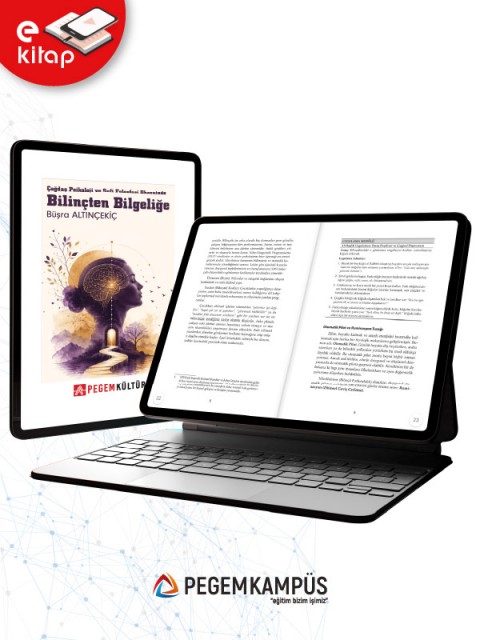 Bilinçten Bilgeliğe Çağdaş Psikoloji ve Sufi Felsefesi Ekseninde (e-kitap)