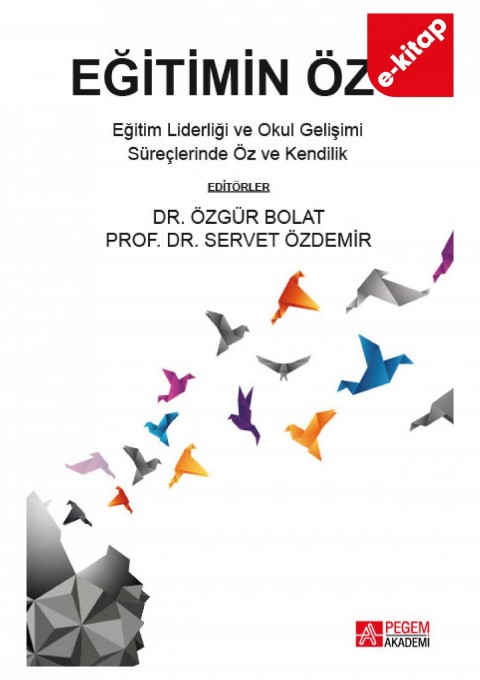 Eğitimin Özü (e-kitap)