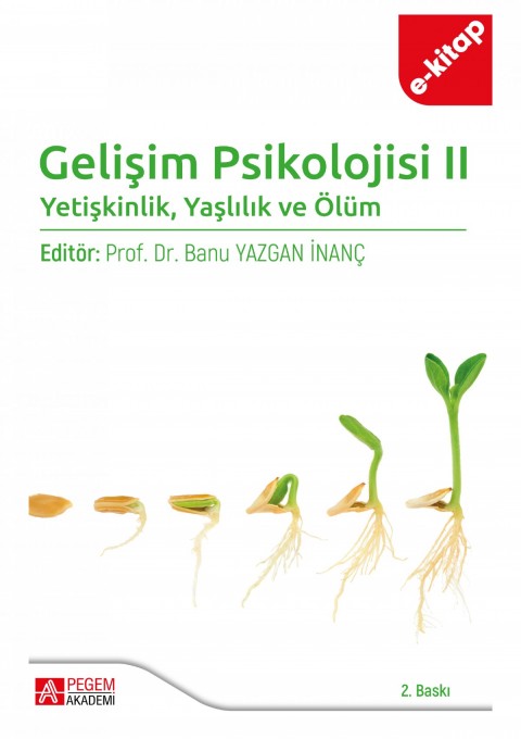 Gelişim Psikolojisi II (e-kitap)
