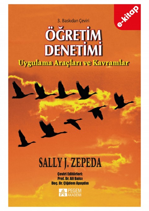 Öğretim Denetimi (e-kitap)