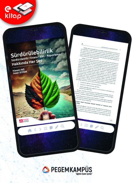 Sürdürülebilirlik Sürdürülebilir Finans - ESG - Raporlama Hakkında Her Şey (e-kitap)