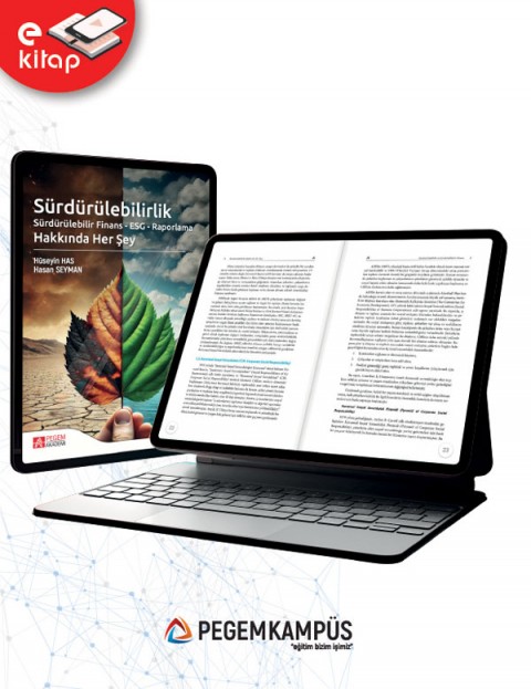 Sürdürülebilirlik Sürdürülebilir Finans - ESG - Raporlama Hakkında Her Şey (e-kitap)