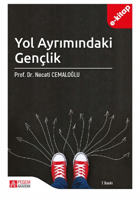 Yol Ayrımındaki Gençlik (e-kitap)