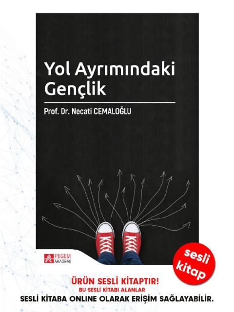 Yol Ayrımındaki Gençlik (sesli kitap)
